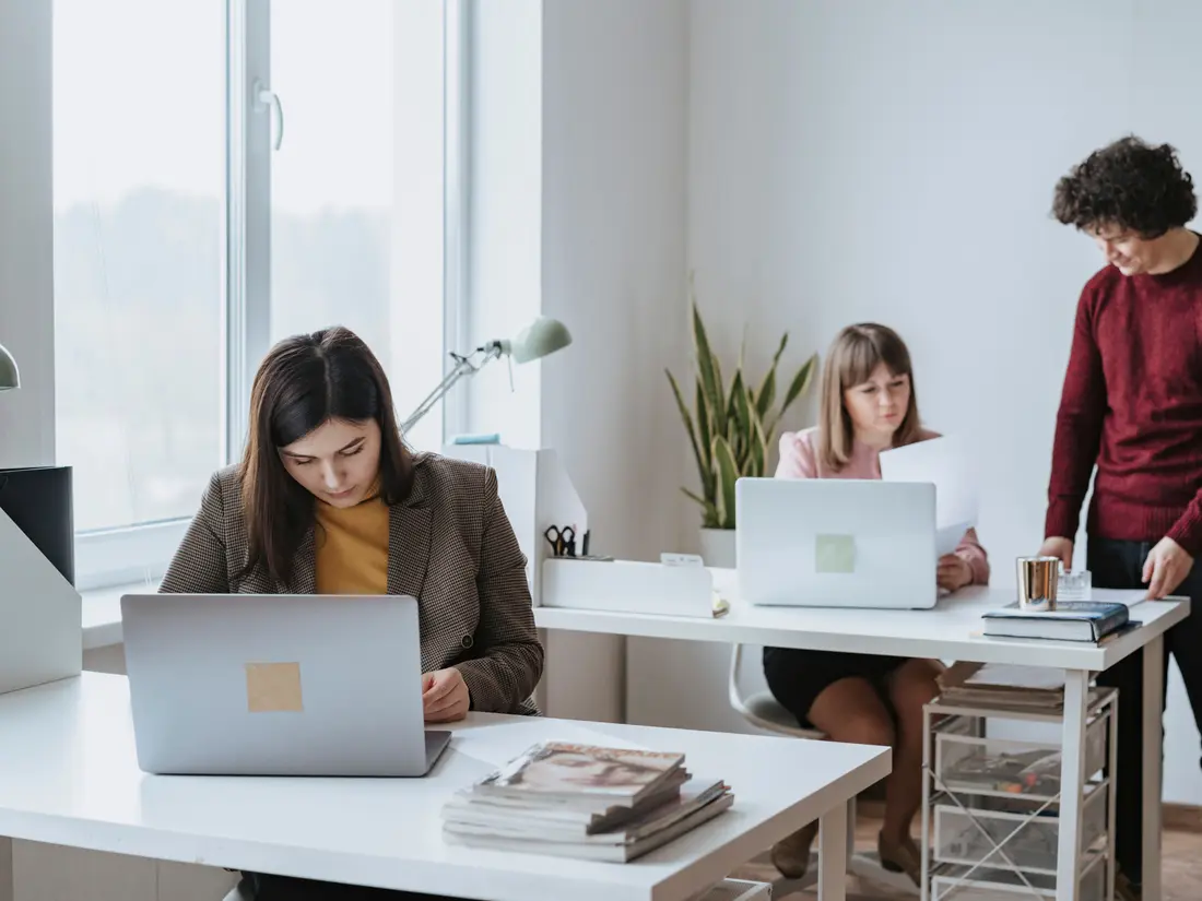 Two people working at laptops at facing desks in a bright modern office